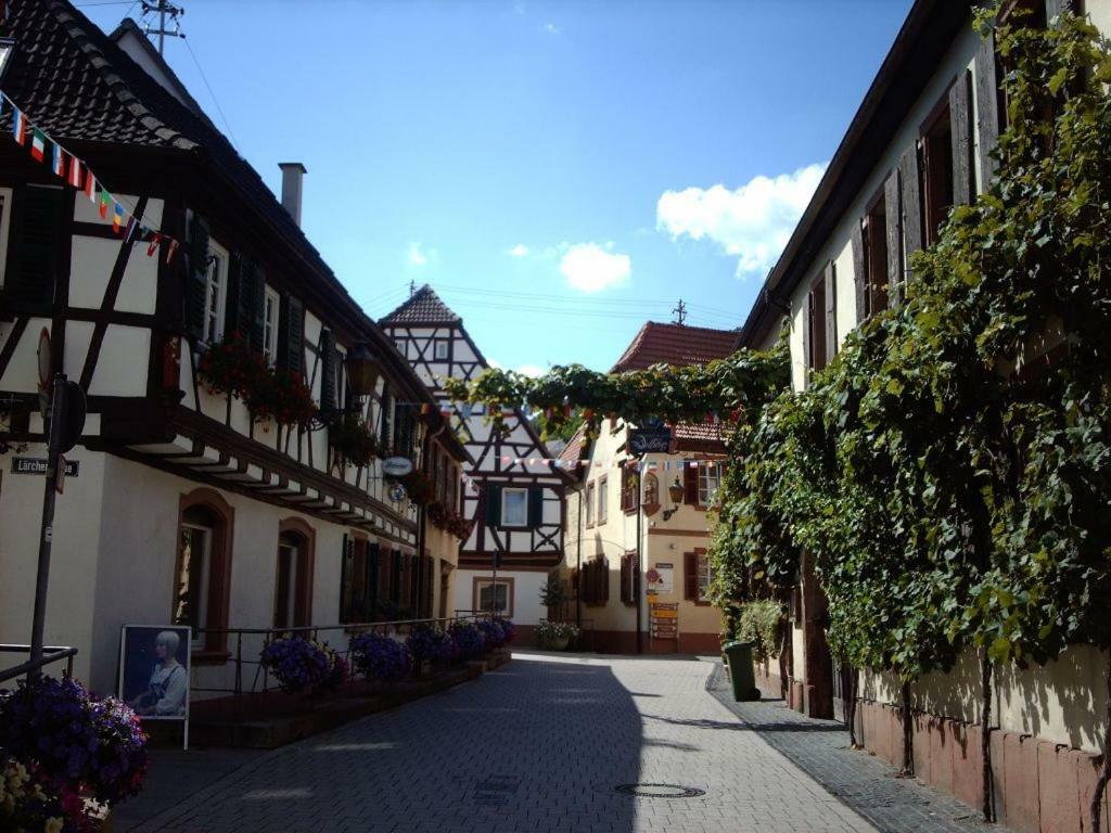 Ferienwohnungen Tauscher Санкт-Мартин Экстерьер фото